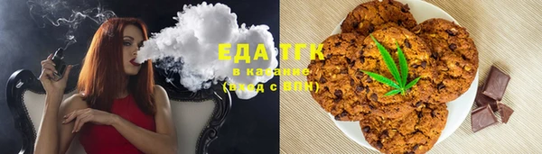 индика Нефтегорск