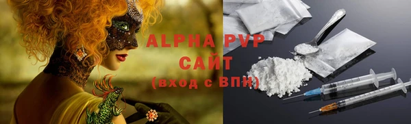 индика Нефтегорск