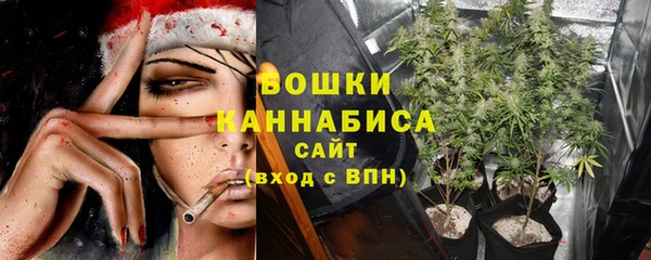 индика Нефтегорск