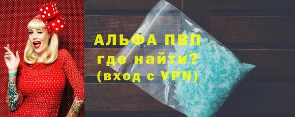 индика Нефтегорск