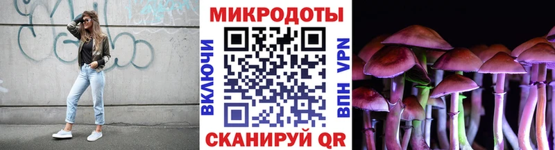 мега ссылки сайты даркнета телеграм Галлюциногенные грибы прущие грибы как найти Светогорск